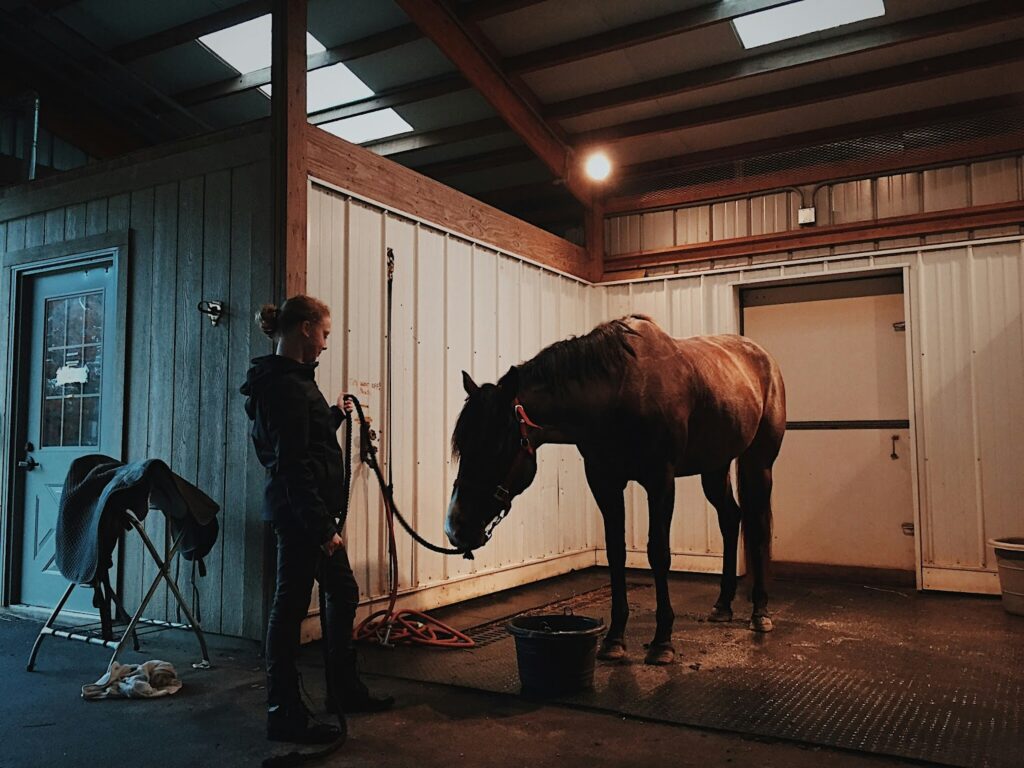 Woman with a horse at a metal barn.
