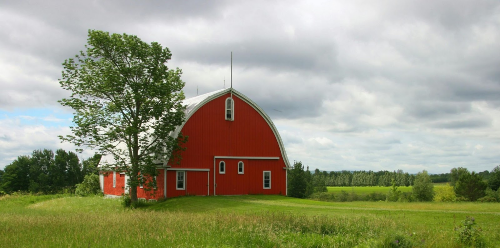 Breaking Down the Costs of a Metal Barn