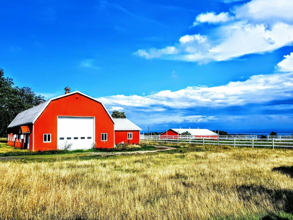 Step-by-Step Guide to Building a Metal Barn