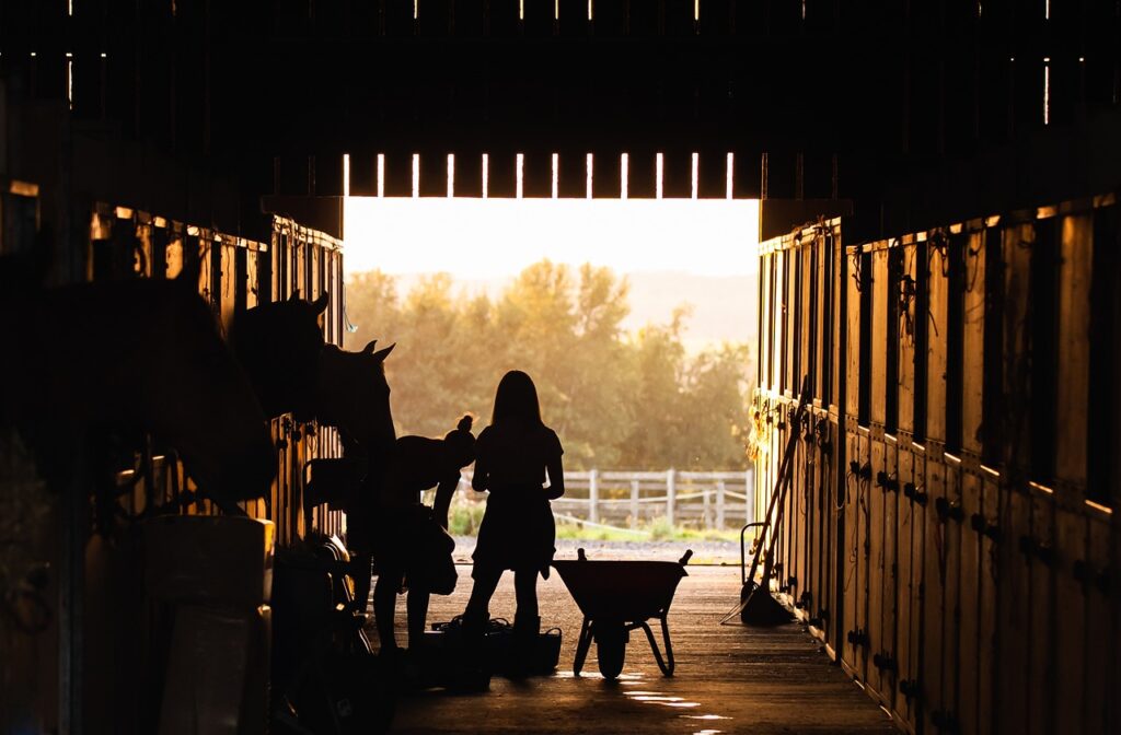 Two people in a barn with cows